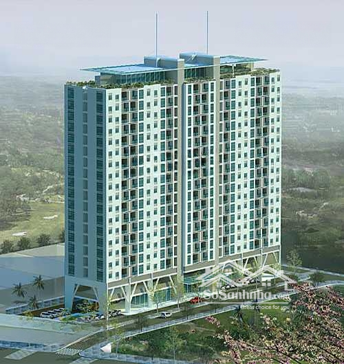 Bán Gấp Chcc Hoa Sen, Quận 11, Diện Tích 95M2, 3 Phòng Ngủ 2 Vệ Sinh Sổ Hồng, Giá Bán 4.3 Tỷ. Liên Hệ: 0899 874 805 E Mão