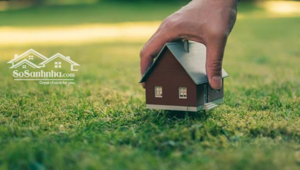 Chính Chủ Bán Đất Đường Tân Thuận Tây, Kế Bên Chung Cư Eco Green Quận 7