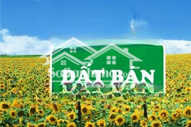Chính Chủ Bán Đất Đường Tân Thuận Tây, Kế Bên Chung Cư Eco Green Quận 7