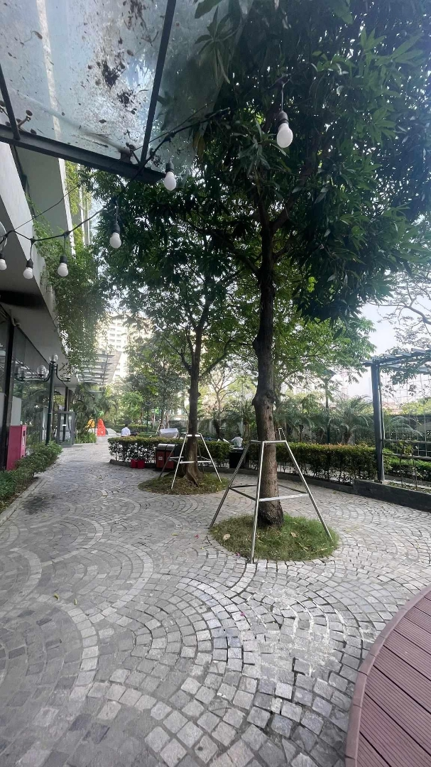 Shophouse Khối Đế Văn Phòng Và Sàn Thương Mại