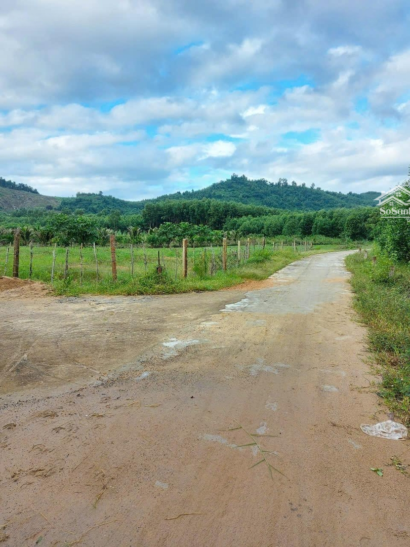 Bán Gấp 1000M2 Đất Đường Lê Đức Thọ Tân Bình Lagi Giá Chỉ 1,2 Tỷ