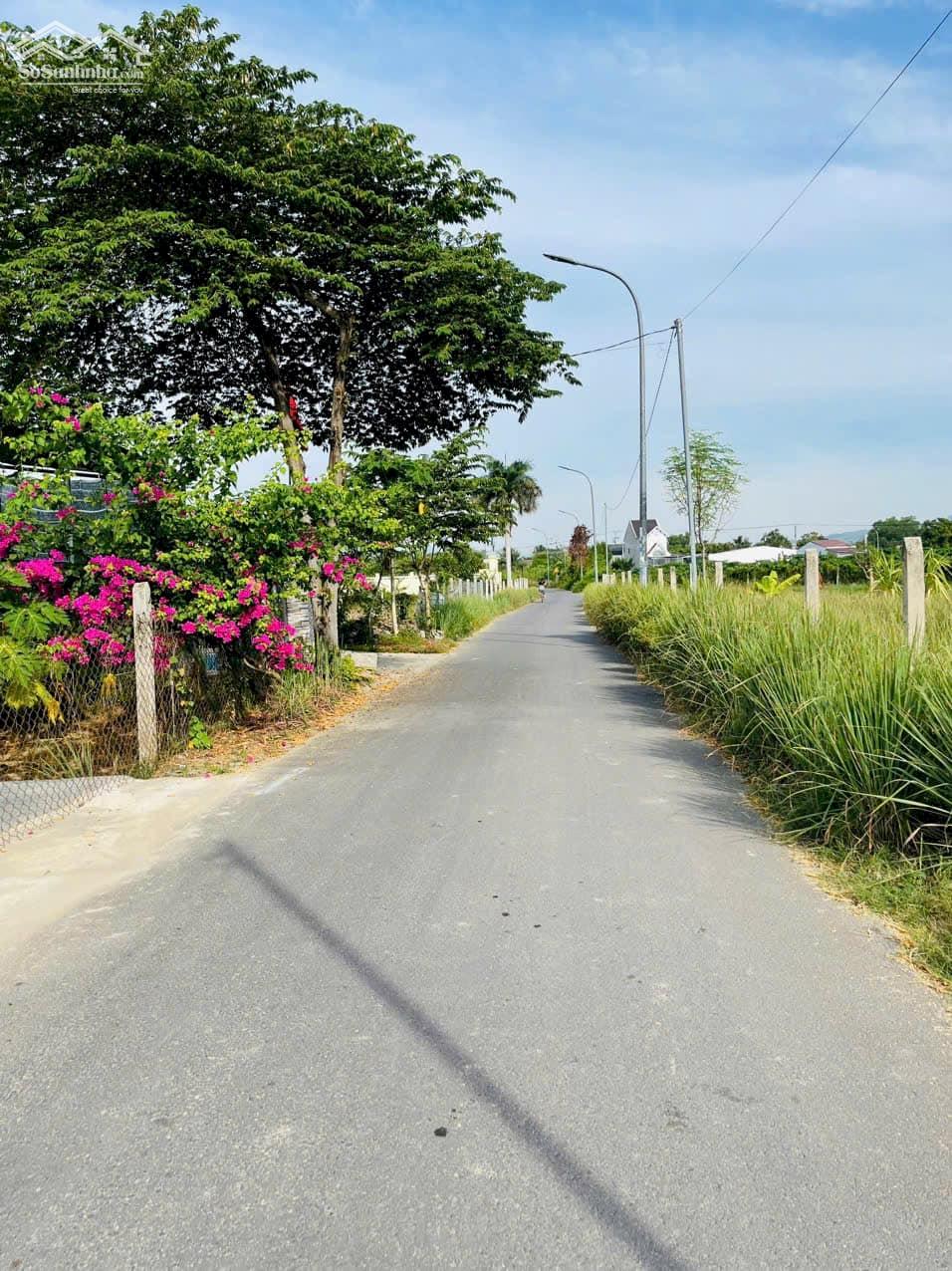 Em còn mỗi 3 lô mặt đường Vườn Thành, Diên Lạc Diên Khánh thôi ạ