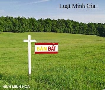 Cần Tiền Làm Ăn Bán Gấp Gửi Đất Lớn 3,3 Ha Vị Trí Đẹp,Ngay Trung Tâm Xã Phú Xuân,Huyện Nhà Bè.