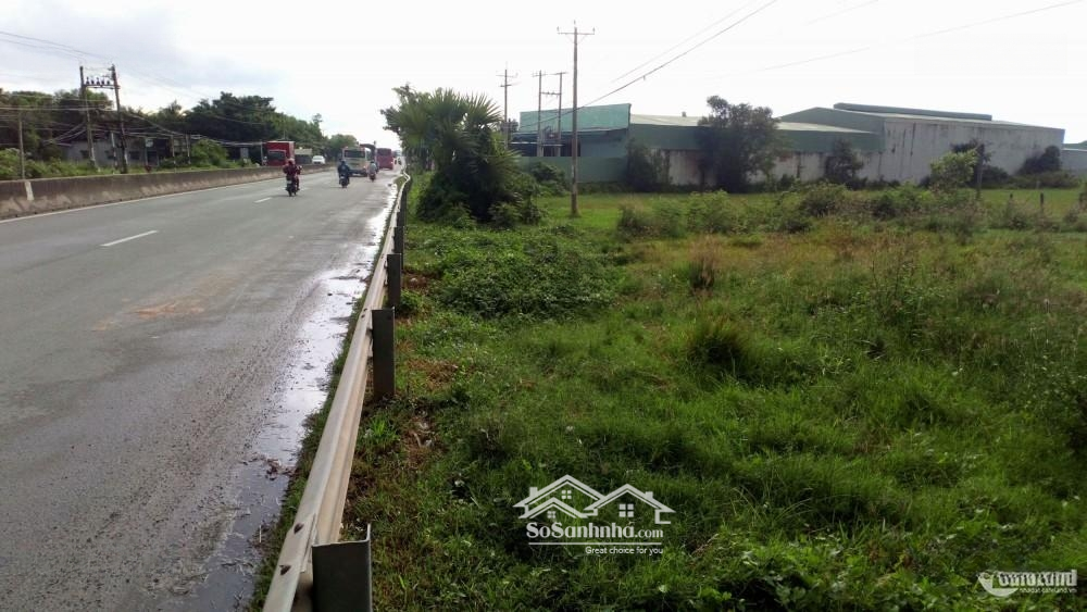 Cần Tiền Làm Ăn Bán Gấp Gửi Đất Lớn 3,3 Ha Vị Trí Đẹp,Ngay Trung Tâm Xã Phú Xuân,Huyện Nhà Bè.