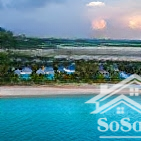 Bán Resort Mặt Tiến Trần Hưng Đạo Giảm Sâu Chỉ Còn 350 Tỷ/11694M2