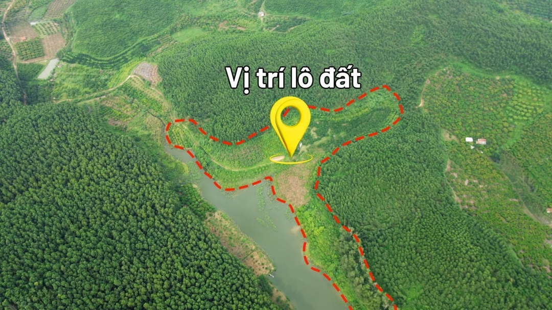 Vốn Đầu Tư 1.6 Tỷ, Sinh Lời Trên 700 Tr/ Năm Từ Nông Trại Sinh Thái Tương Lai Lục Ngạn, Bắc Giang