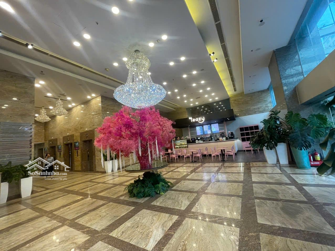 Bql Cho Thuê Văn Phòng Chuyên Nghiệp, Tại Tòa Nhà Vcci - Đào Duy Anh, Diện Tích 100-1000M2