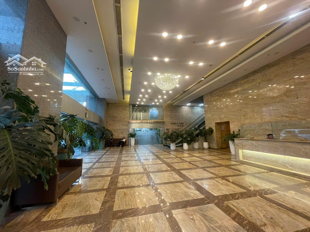 Bql Cho Thuê Văn Phòng Chuyên Nghiệp, Tại Tòa Nhà Vcci - Đào Duy Anh, Diện Tích 100-1000M2