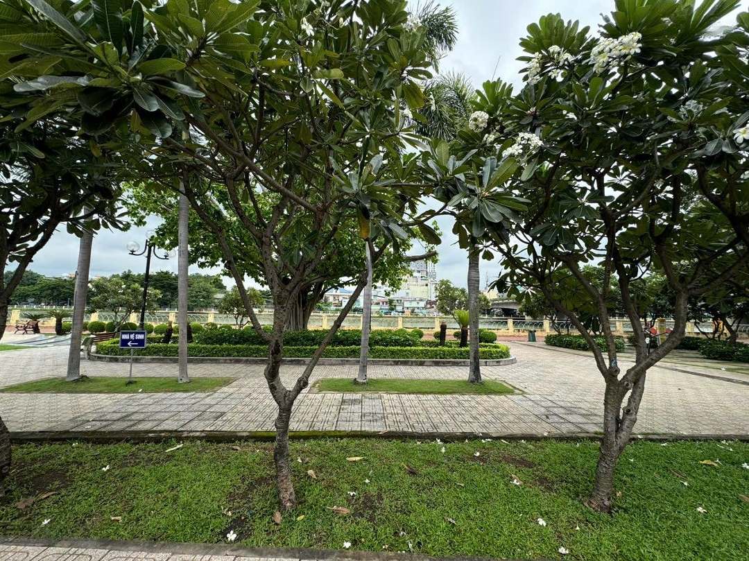 Bán Nhà Mặt Phố Tại Đường Tầm Vu, P26 Bình Thạnh - 15,5 Tỷ - View Công Viên Bờ Sông 4X14 - 3 Tầng