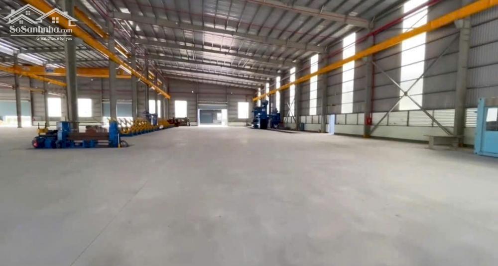 Cho Thuê 6.000m2 Nhà Xưởng Khu Vực Bàu Bàng - Bình Dương
