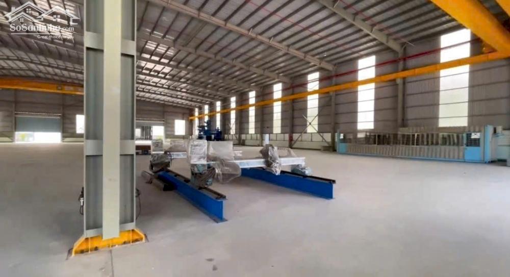 Cho Thuê 6.000m2 Nhà Xưởng Khu Vực Bàu Bàng - Bình Dương