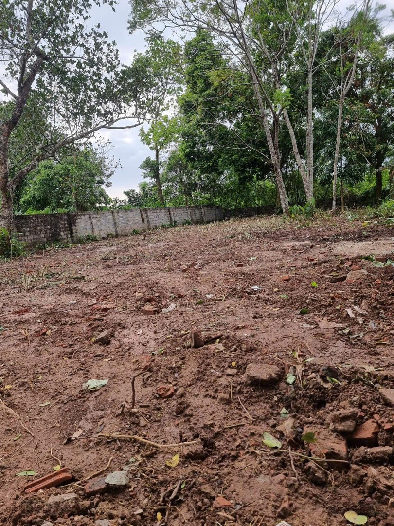 Cần Bán Đất Khu Vực Xã Hoàng Diệu Chương Mỹ Diện Tích Đất 336M2 Có Thương Lượng Nhẹ