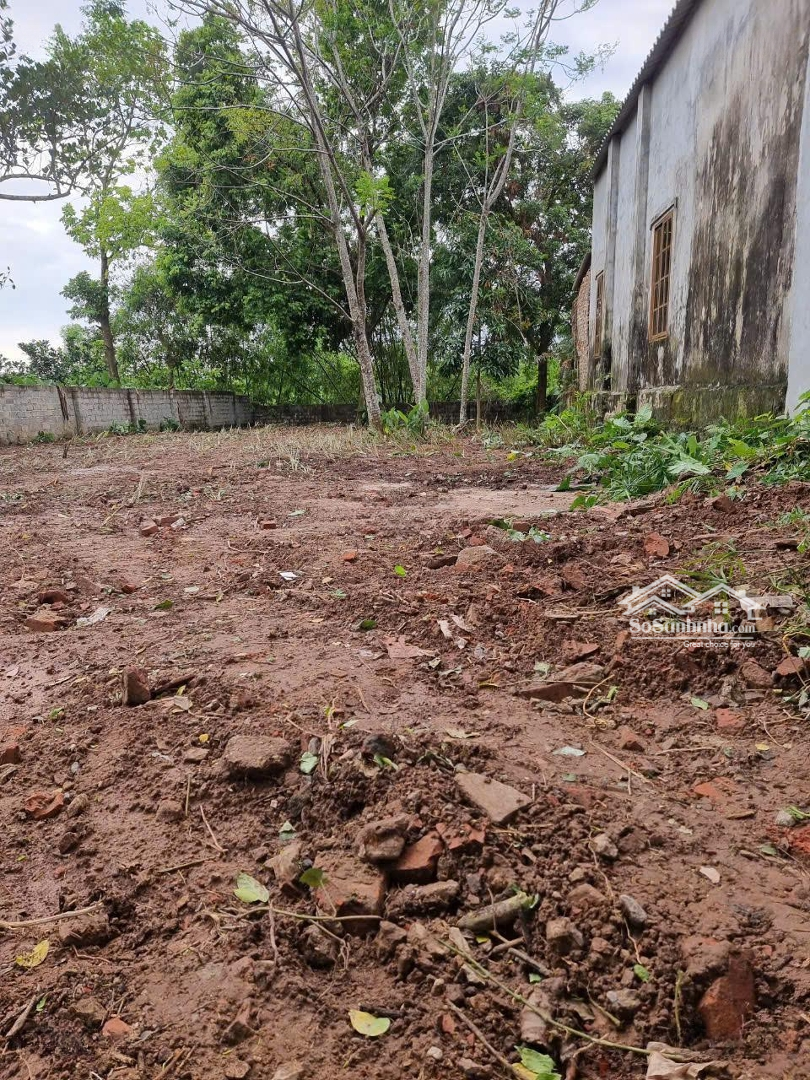Cần Bán Đất Khu Vực Xã Hoàng Diệu Chương Mỹ Diện Tích Đất 336M2 Có Thương Lượng Nhẹ