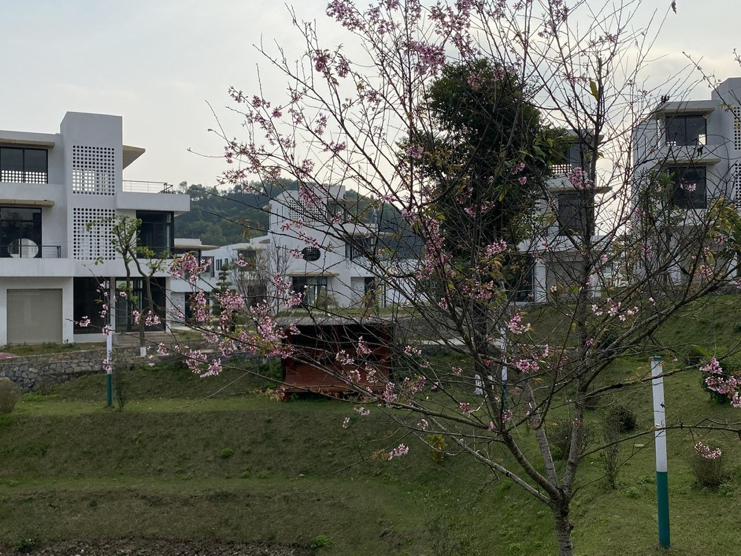 Chính Chủ Cắt Lỗ Bán Biệt Thự Legacy Hill Lương Sơn, Hòa Bình - View Thác Ngân Hà