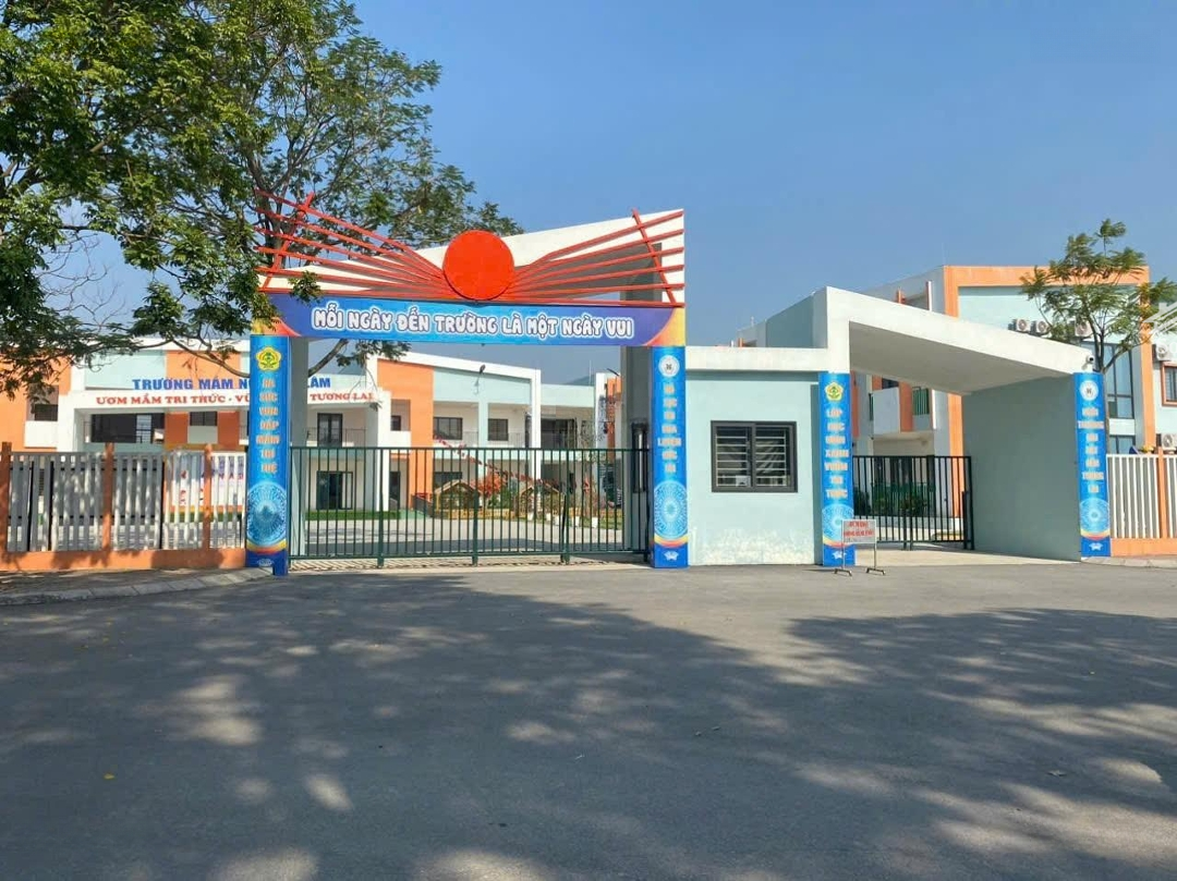 Siêu Hời Bán Đất Thái Bình Xã Mai Lâm Đông Anh. Gần Vin Cổ Loa. 61M2 Giá 77 Triệu/M
