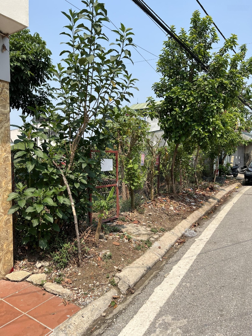 Siêu Hời Bán Đất Tại Đường Sùng Phái Sinh, Giá Bán 5 Tỷ, Diện Tích 280M2