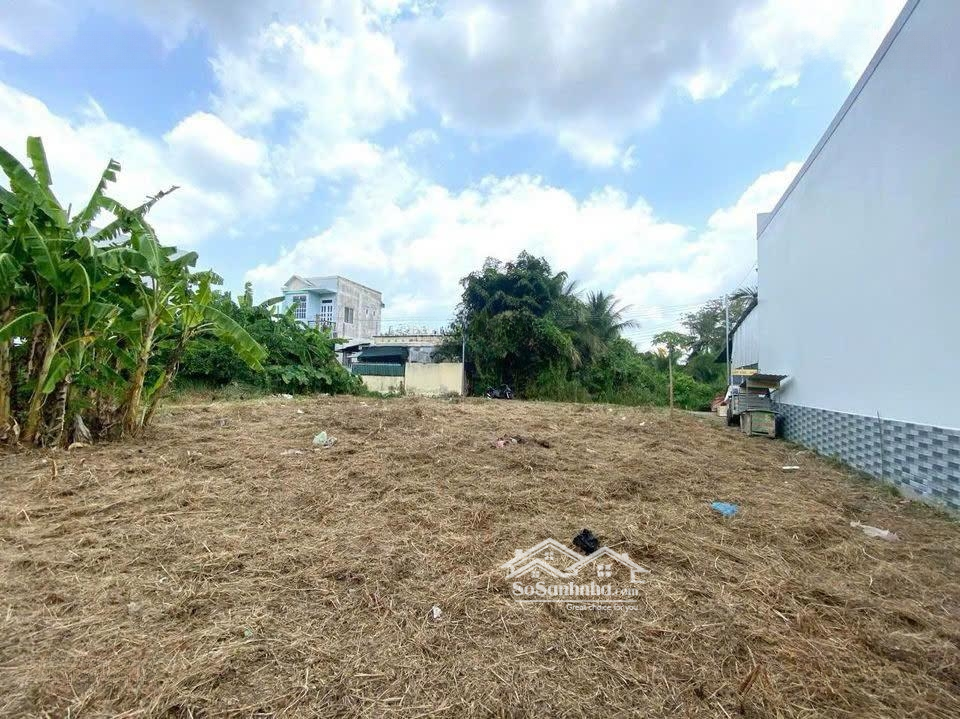 Bán Đất Nền , Diện Tích: 150M2 Shr, Giá Bán 500 Triệu,Đường Nguyễn Thìn ,Gò Công,Tiền Giang,Full Thổ, Lh.