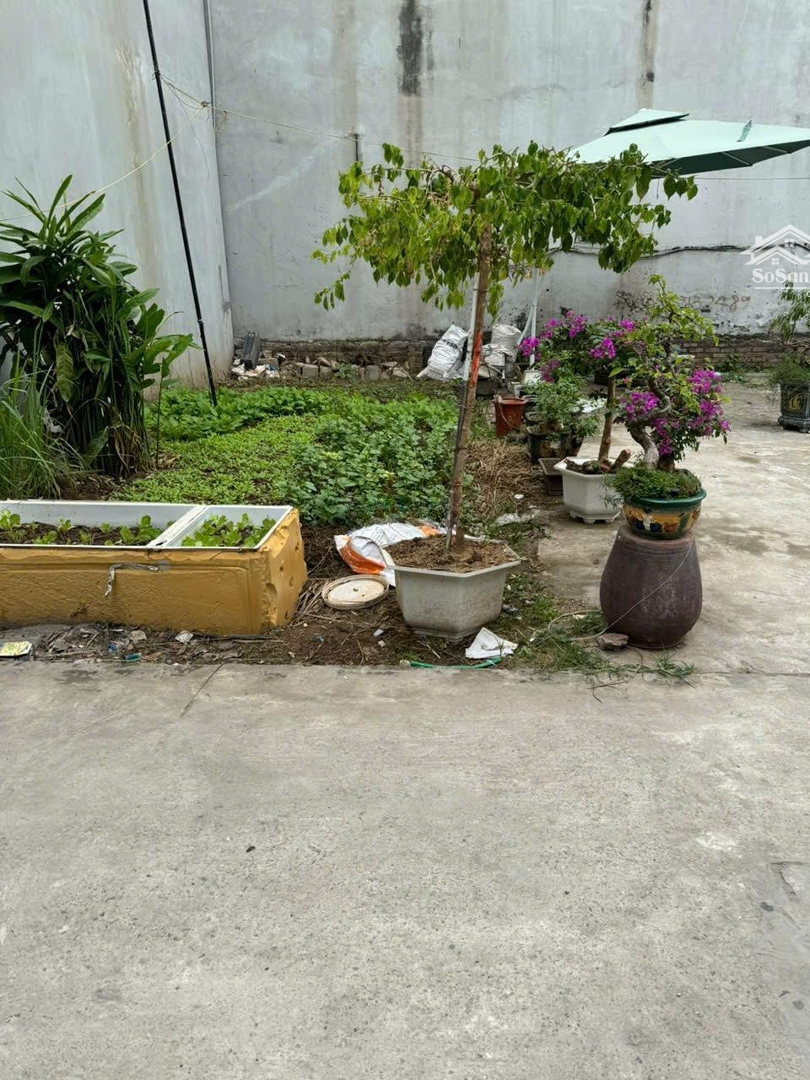 Chinh Chủ Bán Đất Đông Dư Ngoài Đê Gia Lâm Hà Nội, Diện Tích: 32.8M2, Mt: 3.6M, Giá Chào 2.5 Tỷ, Oto Vào
