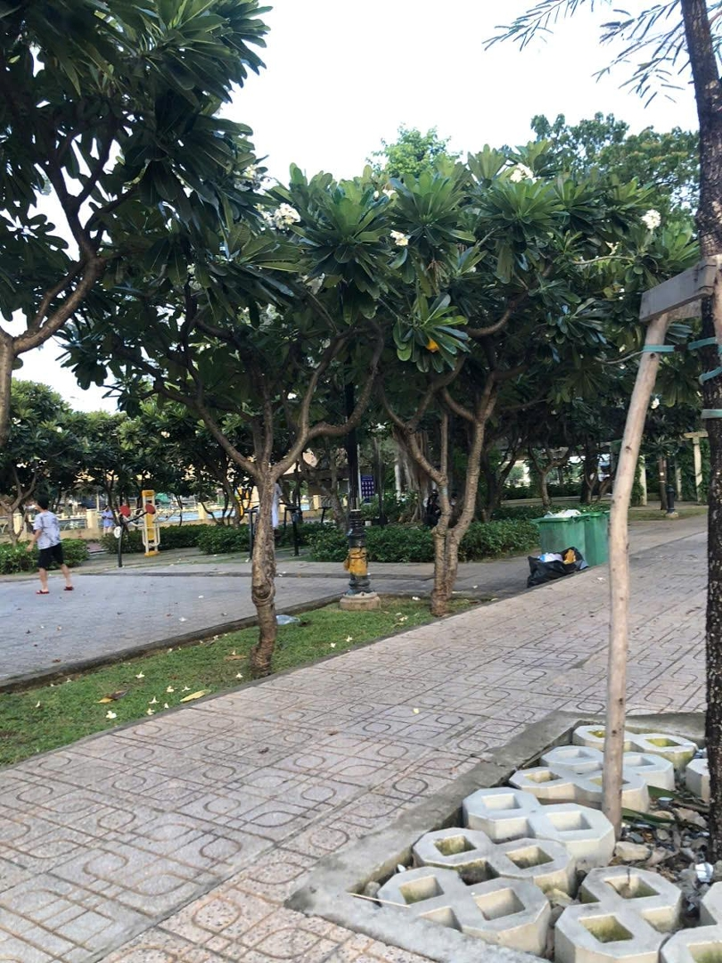 Bán Nhà Mặt Tiền Kinh Doanh, View Sông Sài Gòn, Công Viên Cây Xanh, 4 Tầng Mới, 15,5 Tỷ Tl