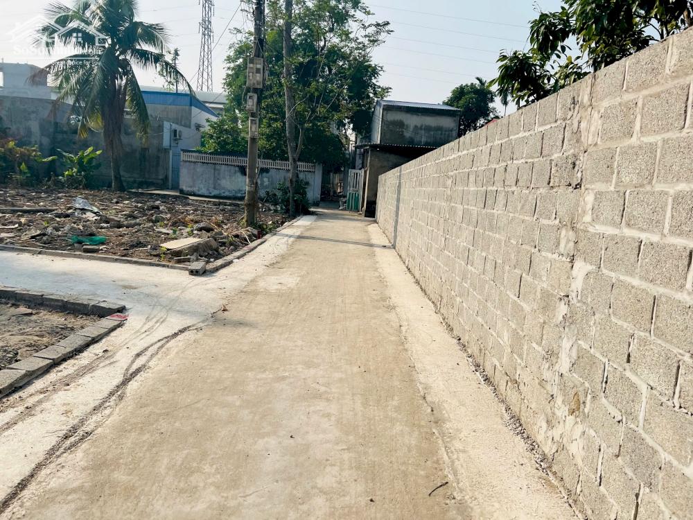 Mở bán bạt F0 tại Quỳnh Cư, Hồng Bàng giá chỉ từ 820tr  LH 0979087664