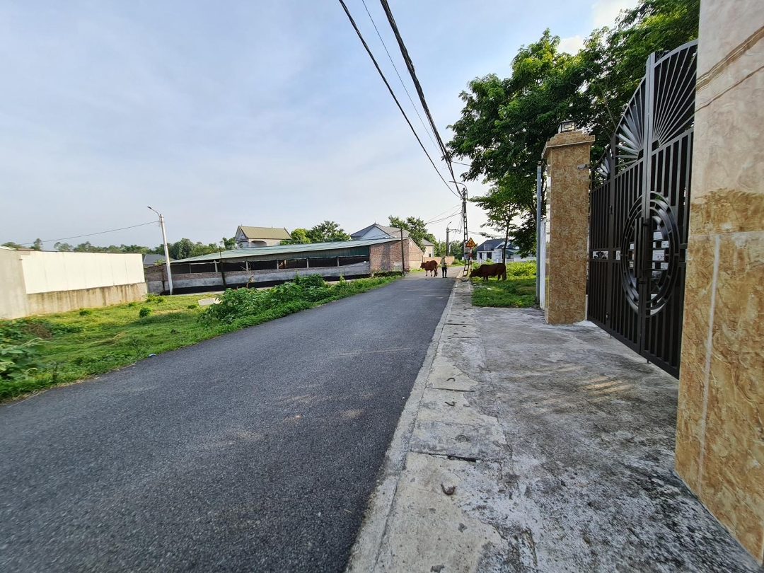 Giá Siêu Hời Chỉ 985 Triệu - Đất 100M2 Tại Thanh Vân, Tam Dương, Vĩnh Phúc