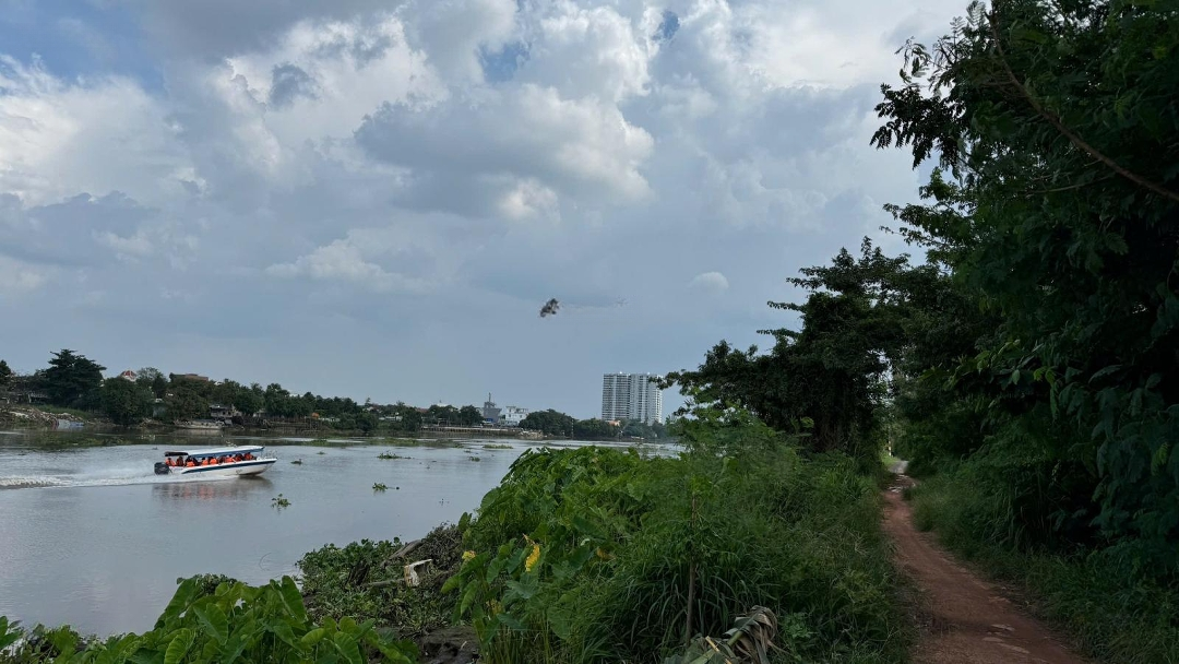 Nhà Vườn Thổ Cư Tổng 2385M2 Giáp Sông Sg, Tiện Xây Biệt Thự, Kho Xưởng. Gần Cầu Phú Long, Chợ Đường
