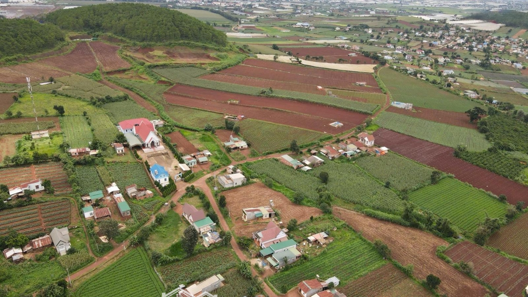 625 Tr Sở Hữu Ngày Lô 2 Mặt Tiền Bê Tông 300M2, 100M2 Thổ Cư