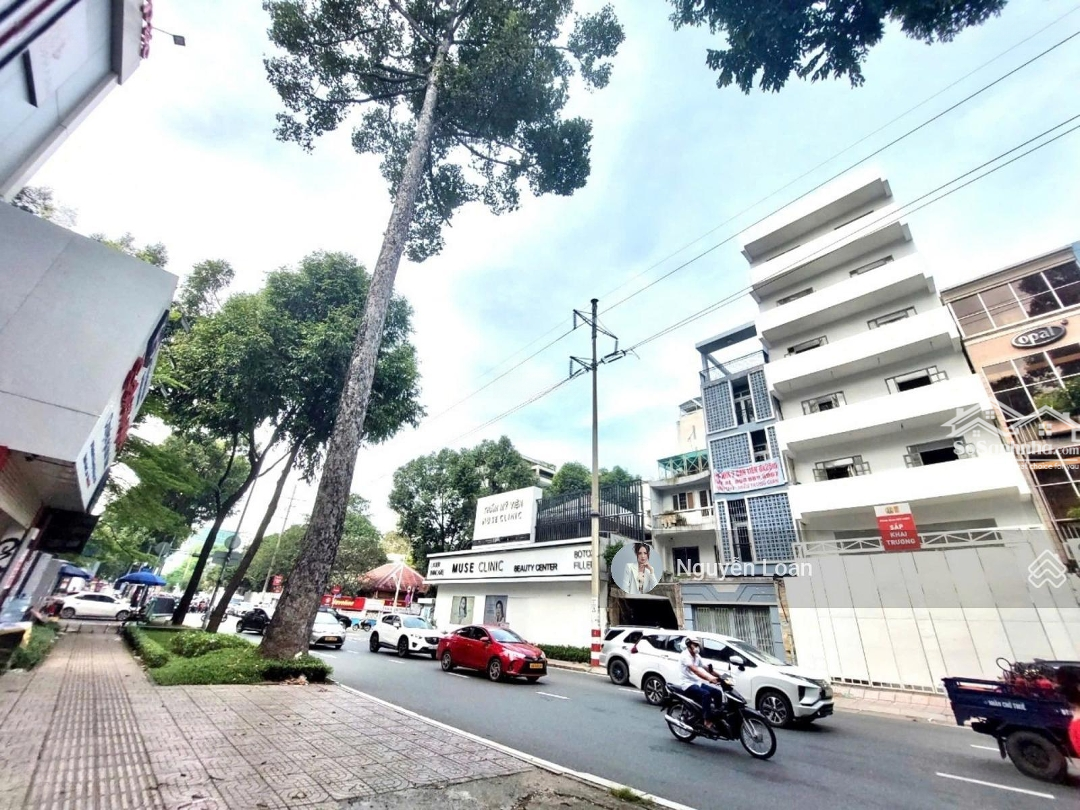 Chia Tài Sản Cần Bán Nhà Khan Hiếm Mặt Tiền Hồ Xuân Hương Quận 3 - 12X20M - H 7 Tầng - Giá Bán 105 Tỷ