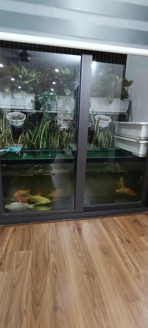 Cho Thuê Căn Hộ Cc Mới 100% Tòa Nhà Phú Thịnh, Hà Cầu, Hđ.diện Tích105M2, 3P Ngủ. Full Đồ. Giá 15 Triệu