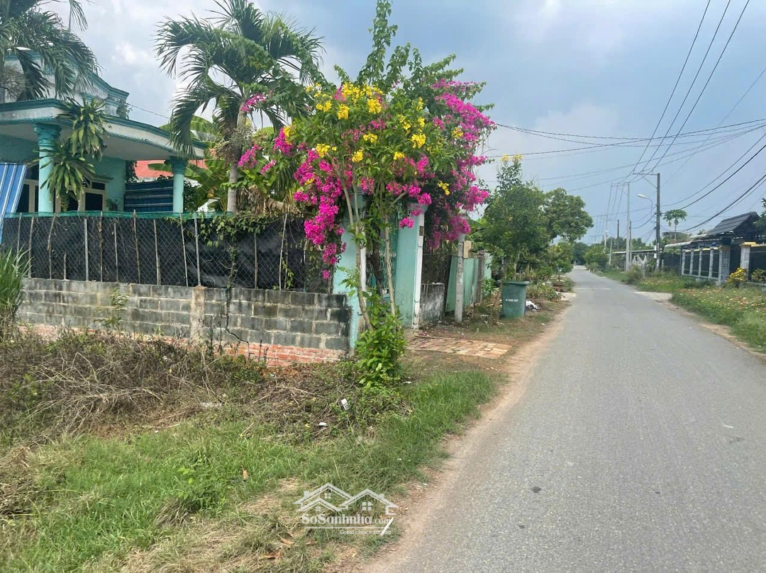 Bán Đất Tại Nguyễn Thị Thạo, 378M2, Giá Bán 2,5 Tỷ, Phúc Hiệp, Củ Chi, Hcm
