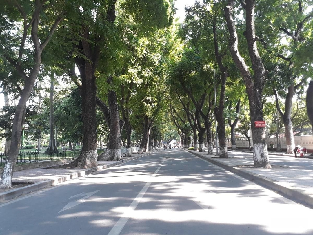 Nhà Ba Đình Mặt Tiền 6,5M, Ô Tô Đỗ Cửa, Sân Chơi, Máy Tập Riêng Cho Khu Dân Cư, 80M2 X 4T = 23 Tỷ