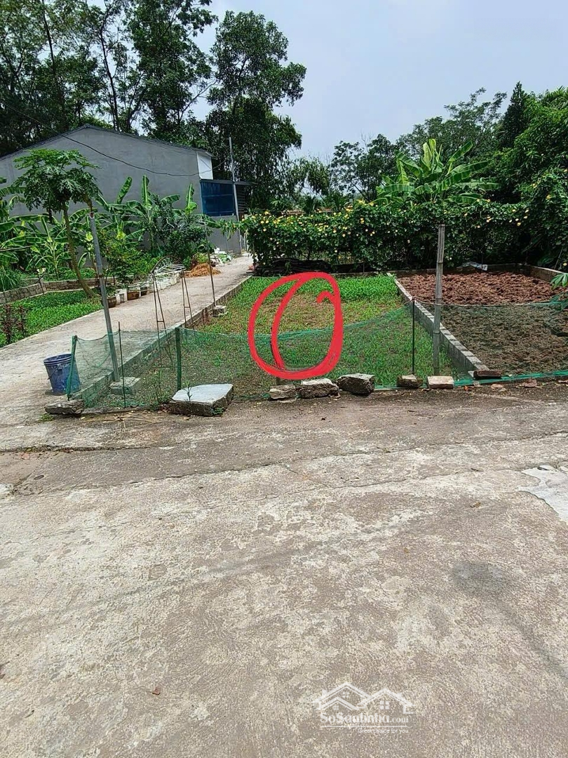 1,5 Tỷ Cho Lô Góc Siêu Phẩm Chính Chủ Công Chứng Trong Ngày Tại Phúc Thọ