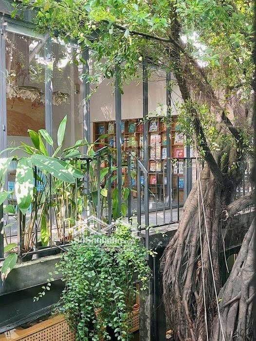 [ Ngang 15M - Đối Diện Trường Đh Ngoại Thương ] Đường D5 , Q. Bình Thạnh