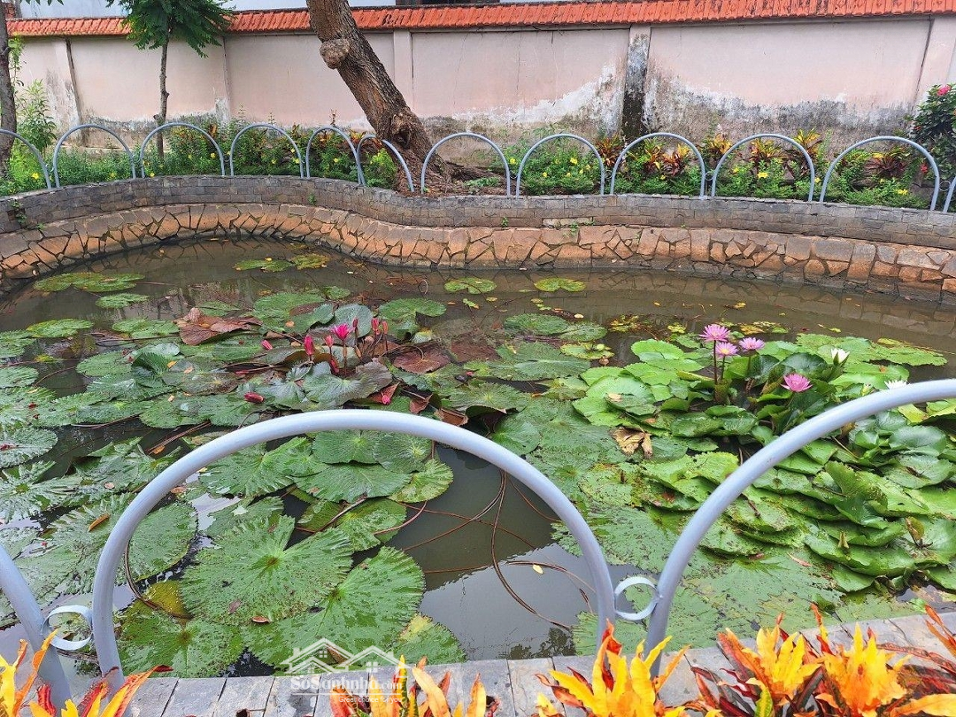 Đất Biệt Thự Vườn 2 Mặt Tiền Đường Nguyễn Chí Thanh, P. Bình Nhâm, Tp. Thuận An