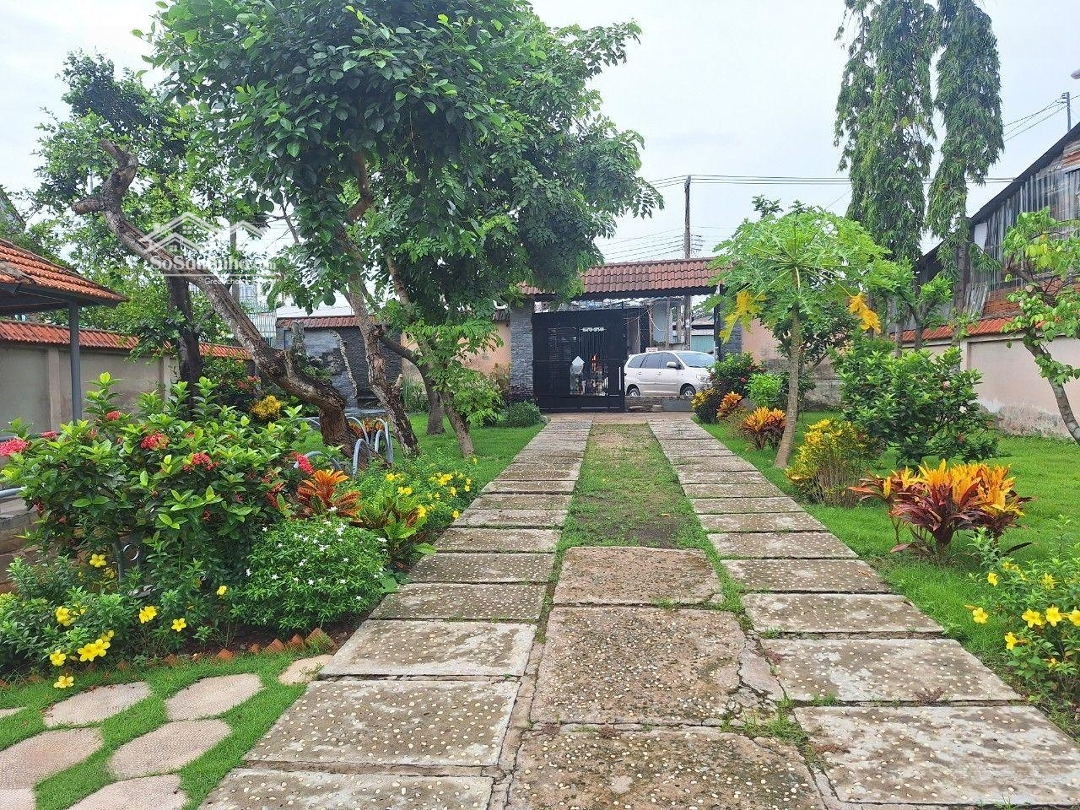 Đất Biệt Thự Vườn 2 Mặt Tiền Đường Nguyễn Chí Thanh, P. Bình Nhâm, Tp. Thuận An