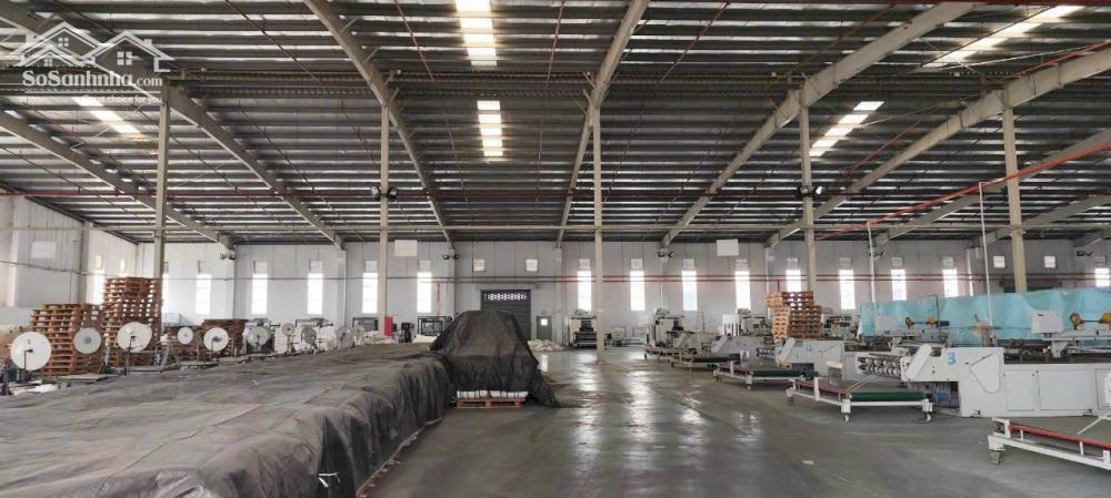 Cho Thuê 10.000m2 Xưởng Trong KCN TP Mới – Bình Dương Giá 3.5usd
