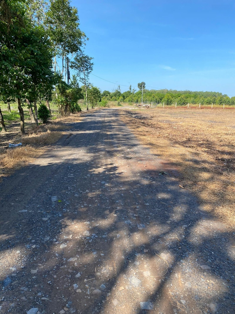 Bán Đất Đẹp Ngay Kcn - Đầu Tư Sinh Lời X3, X4 	Diện Tích: 5M X 31M (155M)