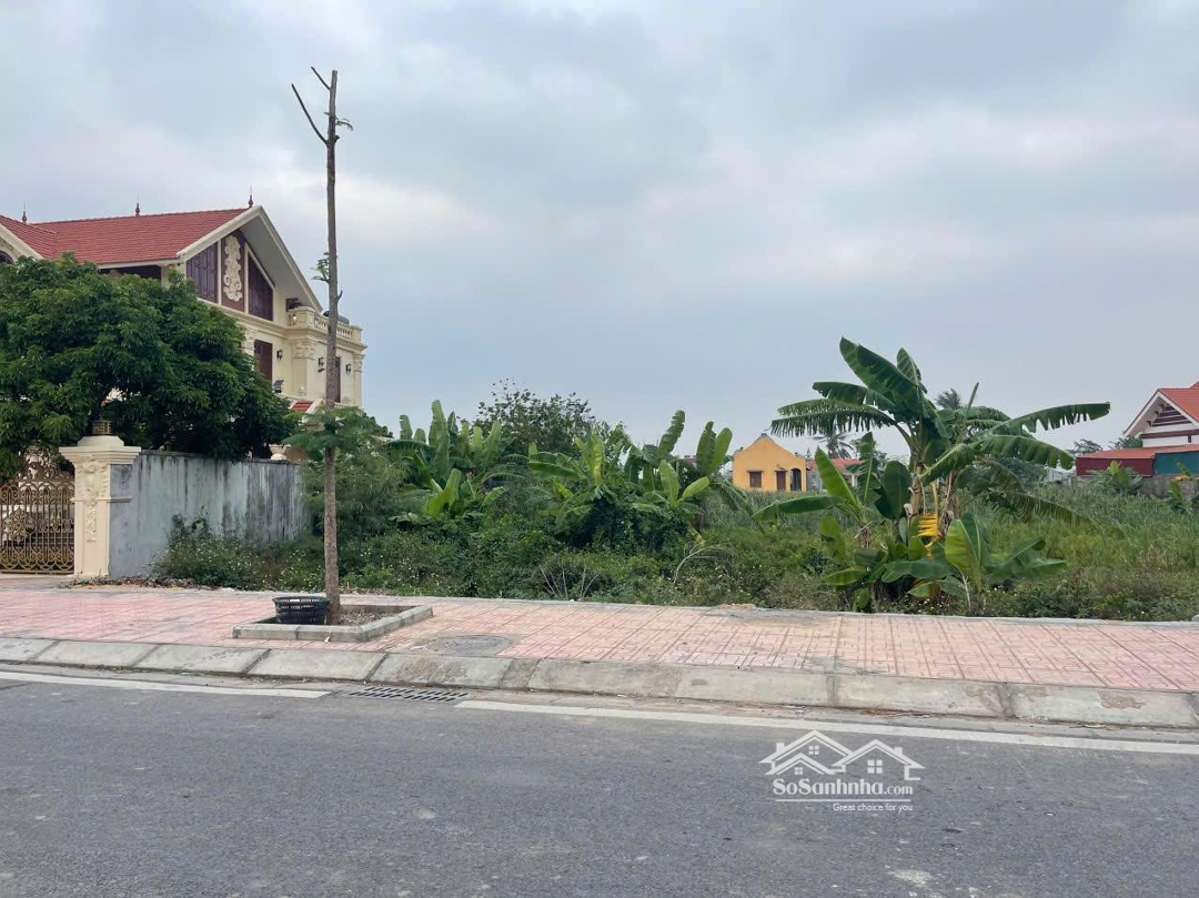 Mở Bán Siêu Phẩm Tại Mặt Đường Thượng Đức, Minh Đức, Đồ Sơn, Hải Phòng 192,8M2