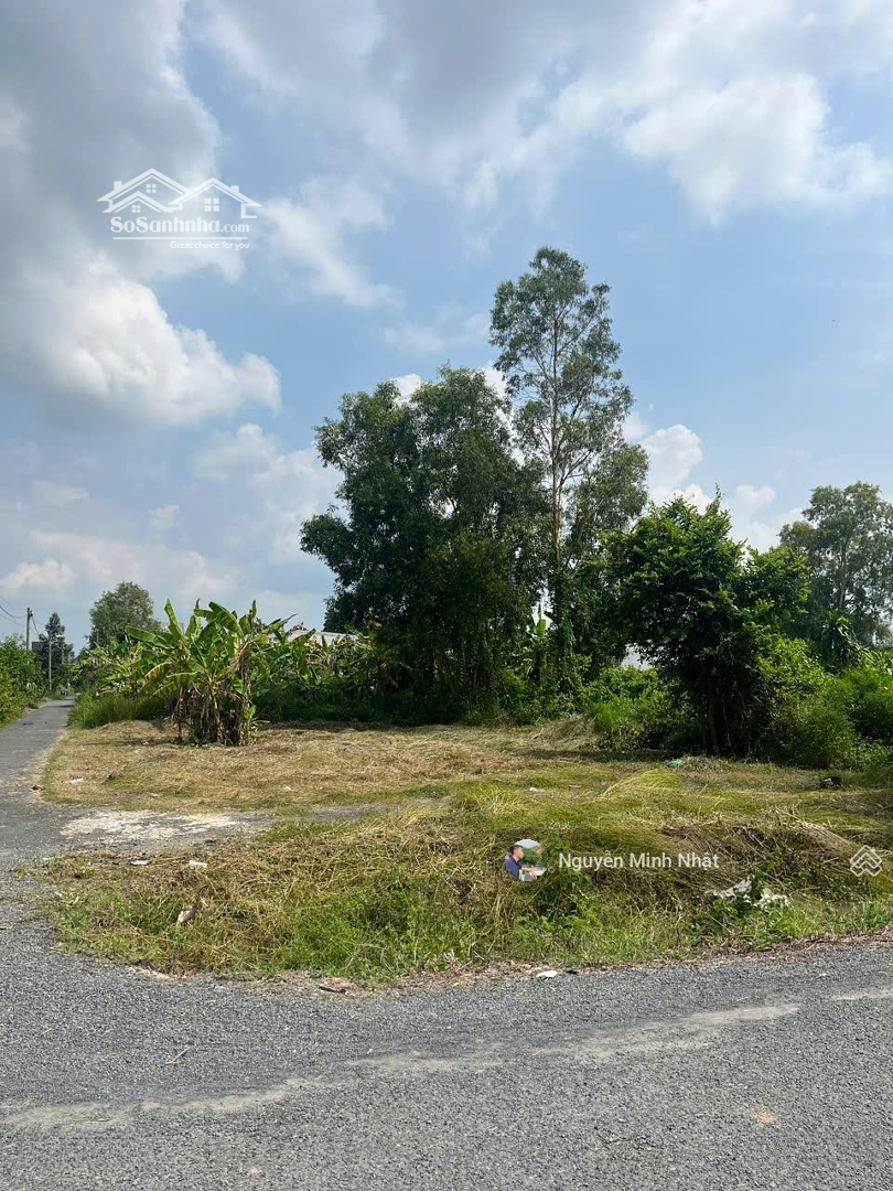 Bán Đất Tại Cầu Vồng, Phường 5, Trà Vinh, Gần Trường Đại Học Trà Vinh Diện Tích: 115M2 Chỉ 3Xx Tr