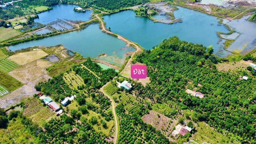 1000M2 View Hồ Lớn Khu Dân Cư Giảm 20 Triệu Còn 279 Triệu Mặt Tiền Ngang Tận 20M Cách Tỉnh Lộ Chỉ 500M