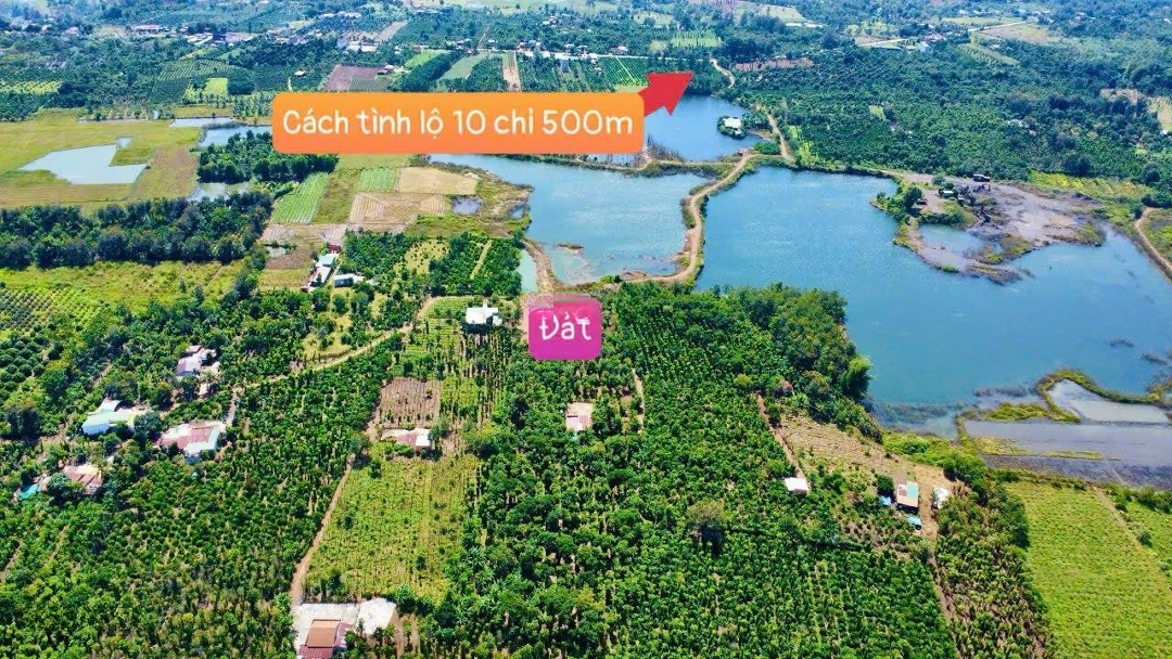 1000M2 View Hồ Lớn Khu Dân Cư Giảm 20 Triệu Còn 279 Triệu Mặt Tiền Ngang Tận 20M Cách Tỉnh Lộ Chỉ 500M