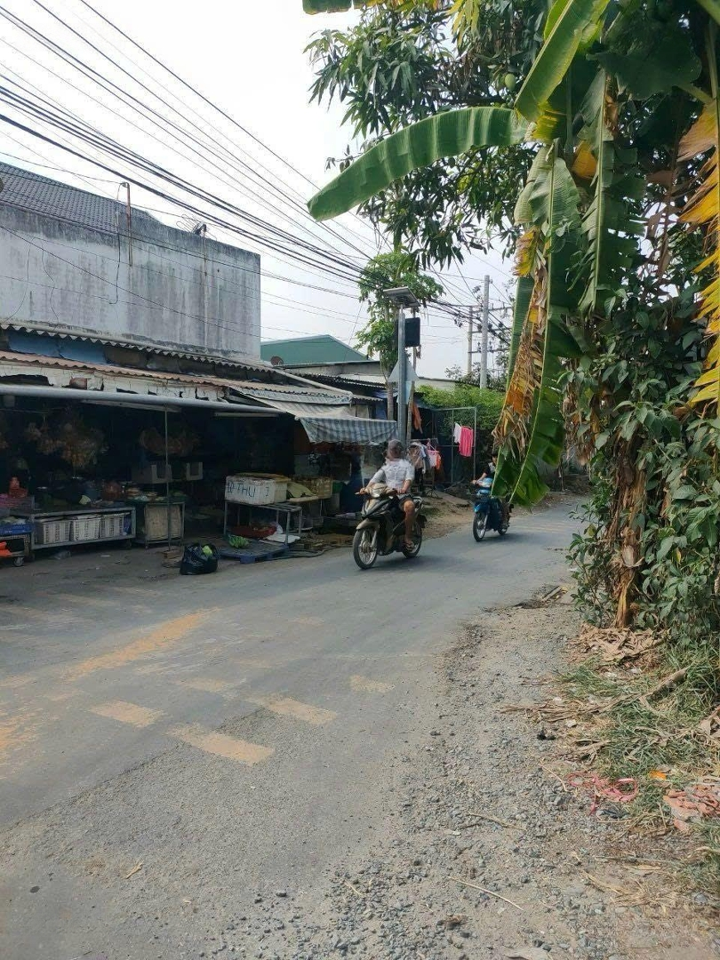 Đất Nền Lẻ Gần Khu Du Lịch Lan Vương Xã Phú Nhuận, Tp. Bến Tre Chỉ 320 Triệu/106M2 Đất Full Thổ Cư, Shr