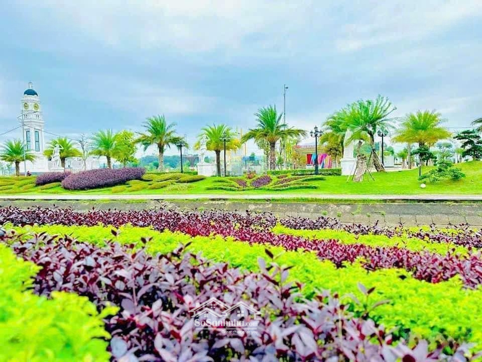 Bán Đất Nền Dự Án Tại Danko Avenue, Thắng Lợi, Sông Công, Thái Nguyên, 1,8 Tỷ, 96M2