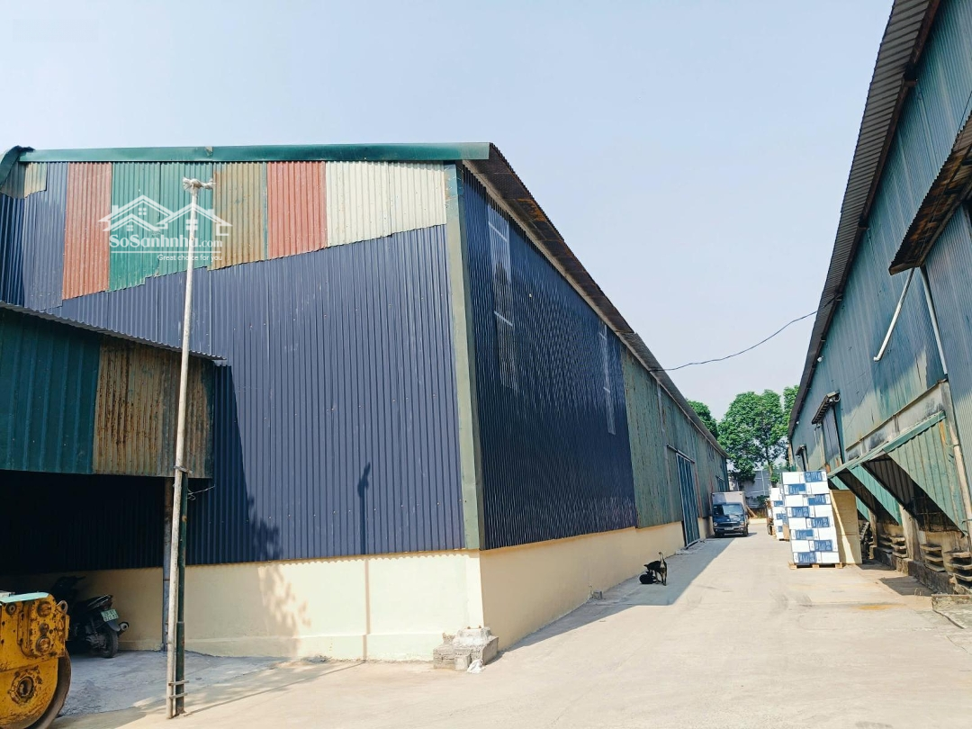 Cho Thuê Kho Đường Đại Lộ Thăng Long, An Khánh, Hoài Đức. 1300M2 Cao 8M, Dựng Mới 100%. Giá 55K/M2