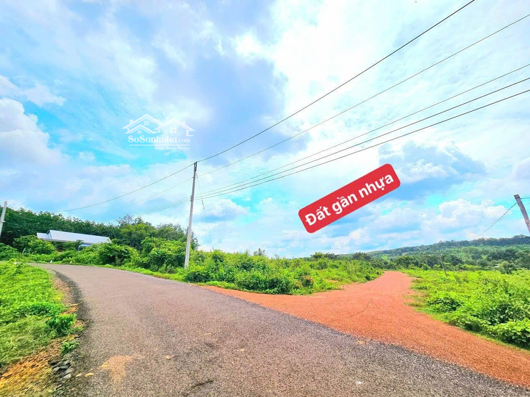 Siêu Hot! Bán Hơn 1000M2 Đất Ấp Măng Cải, Lộc Thiện, Lộc Ninh, Bình Phước, Giá Chỉ 299 Triệu