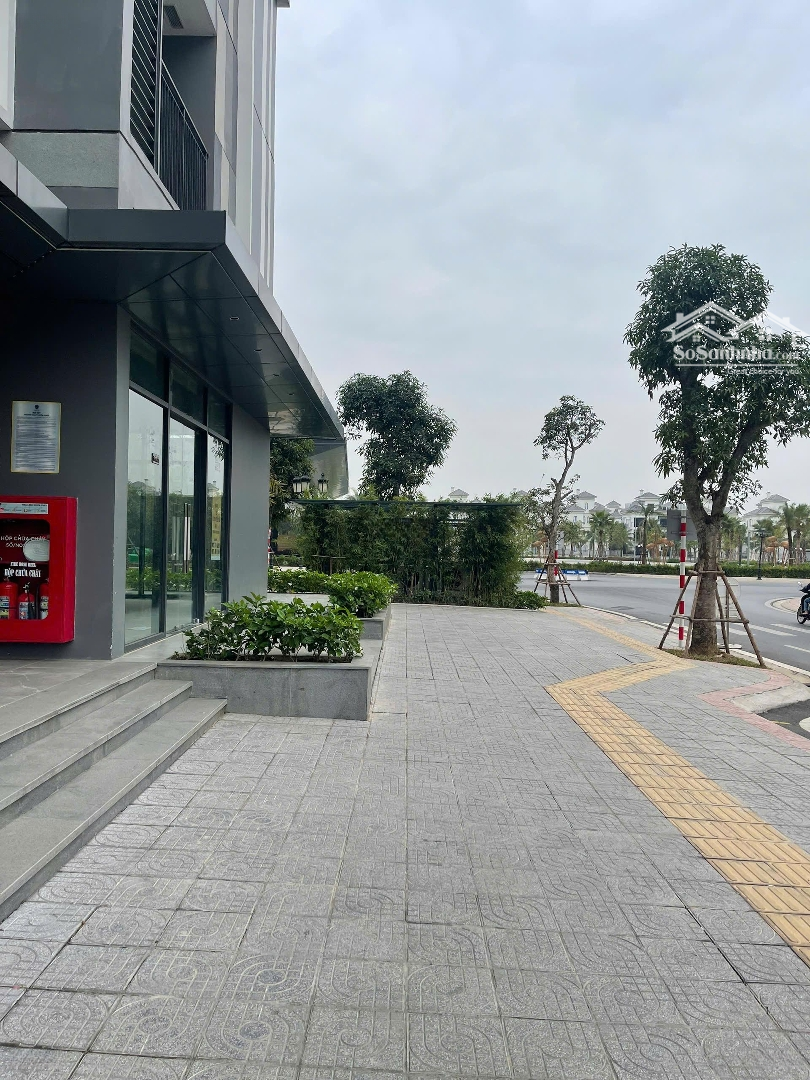 Chính Chủ Cho Thuê Chân Đế P1 S24, Sát Căn Góc Ngay Mặt Đường Chính, Giá Siêu Tốt
