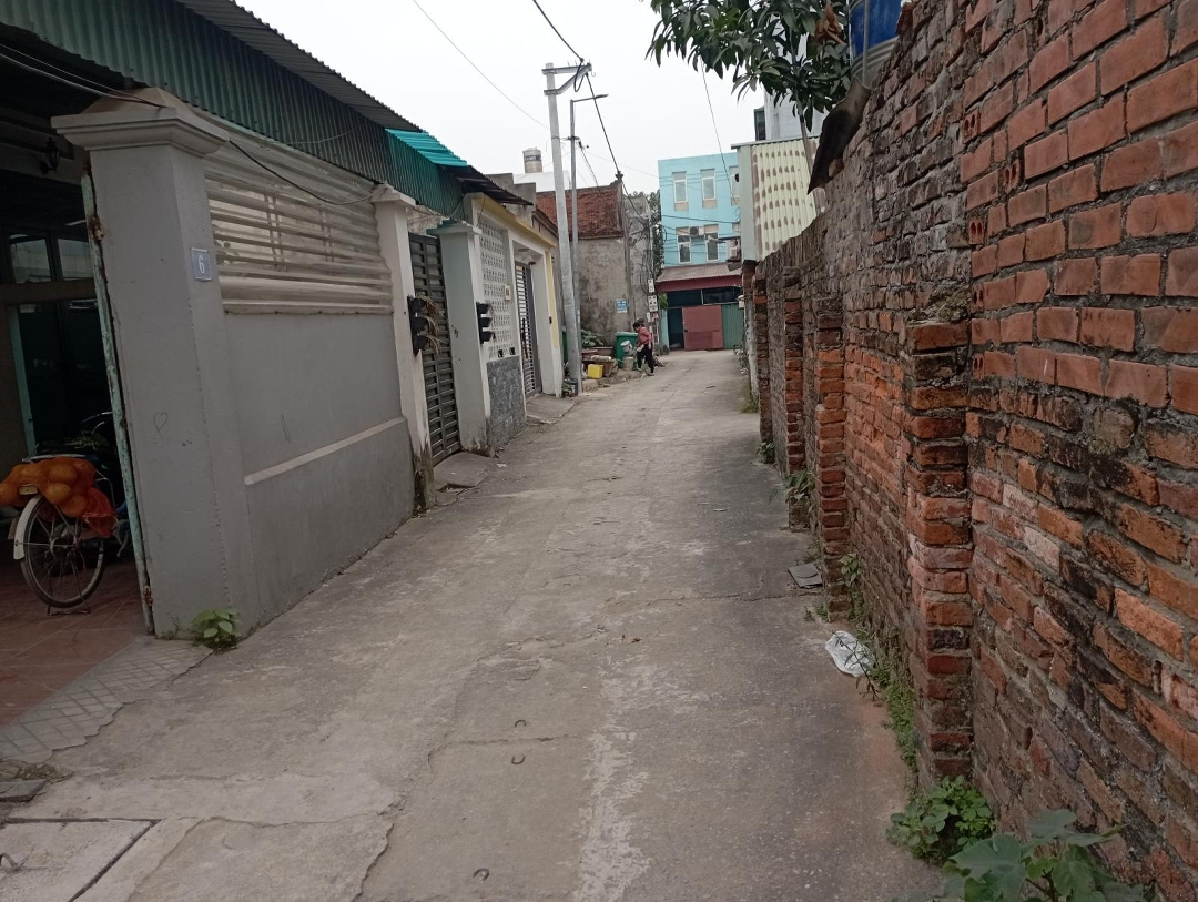 Chính Chủ Cần Tiền Bán Gấp Mảnh Đất Mai Hiên.mai Lâm .Đông Anh