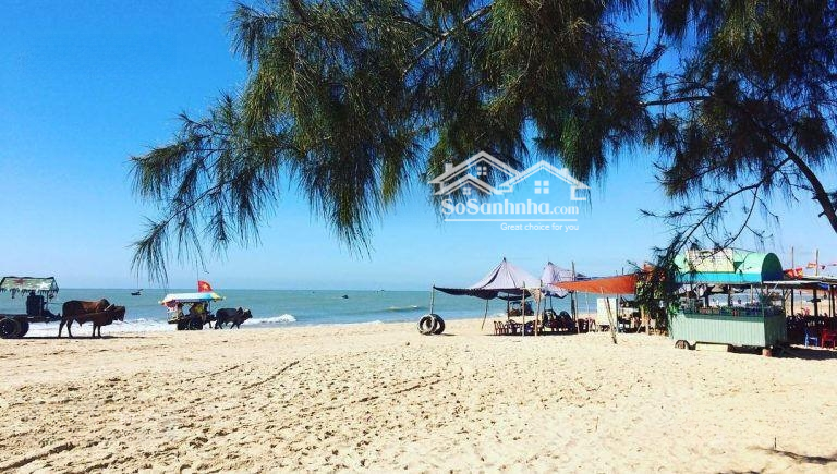Bán Đất 10X60, 60M2 Thổ Cư, Đường Bê Tông 4M, Hẻm Tôn Đức Thắng, Giá Bán 1.1 Tỷ, Tân Phước, La Gi