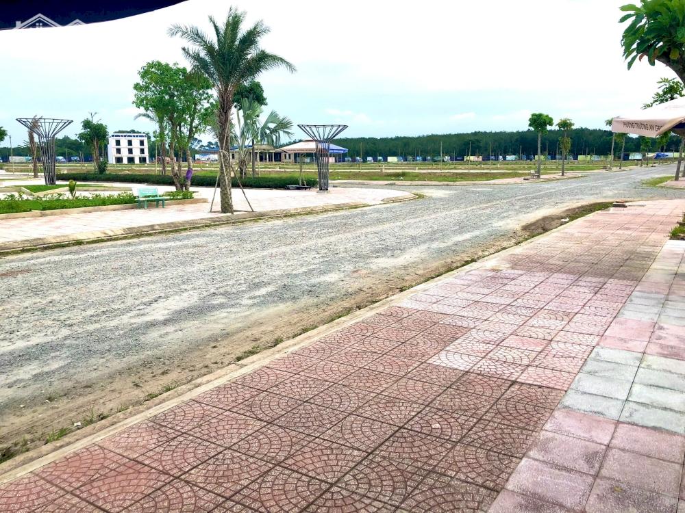 Dự án 1/500 lời theo tiến độ nên đầu tư từ bây giờ
