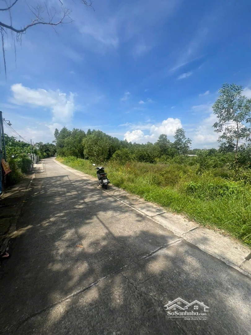 Đất Đẹp Làm Kho Bãi Nhà Xưởng Nhà Vườn Đường Bê Tông Quá Đẹp 2 Bên Cống Rãnh Đất Thổ 1000M